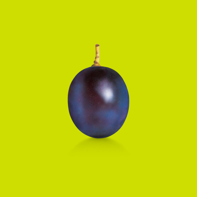 Naked Grape Illustration | Dossier Creative | Iconic Wine Rebrand