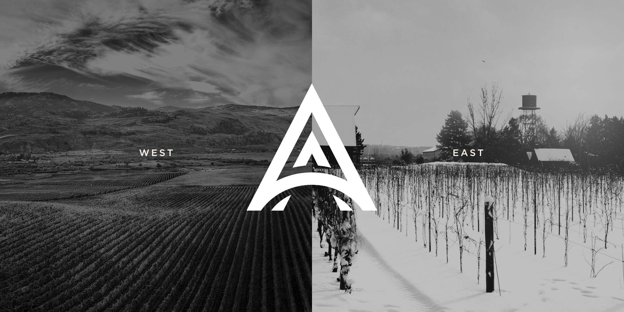 Arterra Wines Canada_Brand Creation_West to East_Dossier CreativeCanadas Largest Wine Producer