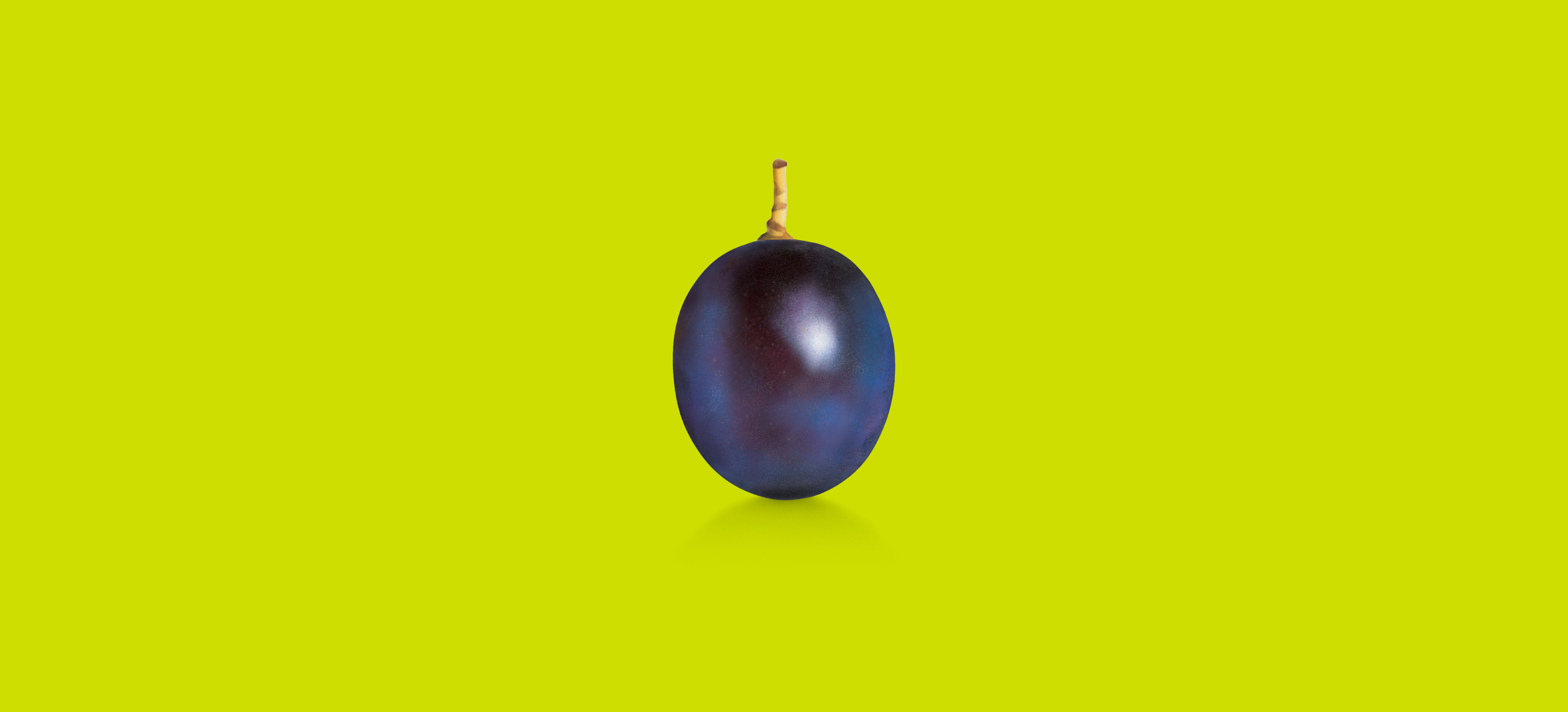 Naked Grape Illustration | Dossier Creative | Iconic Wine Rebrand