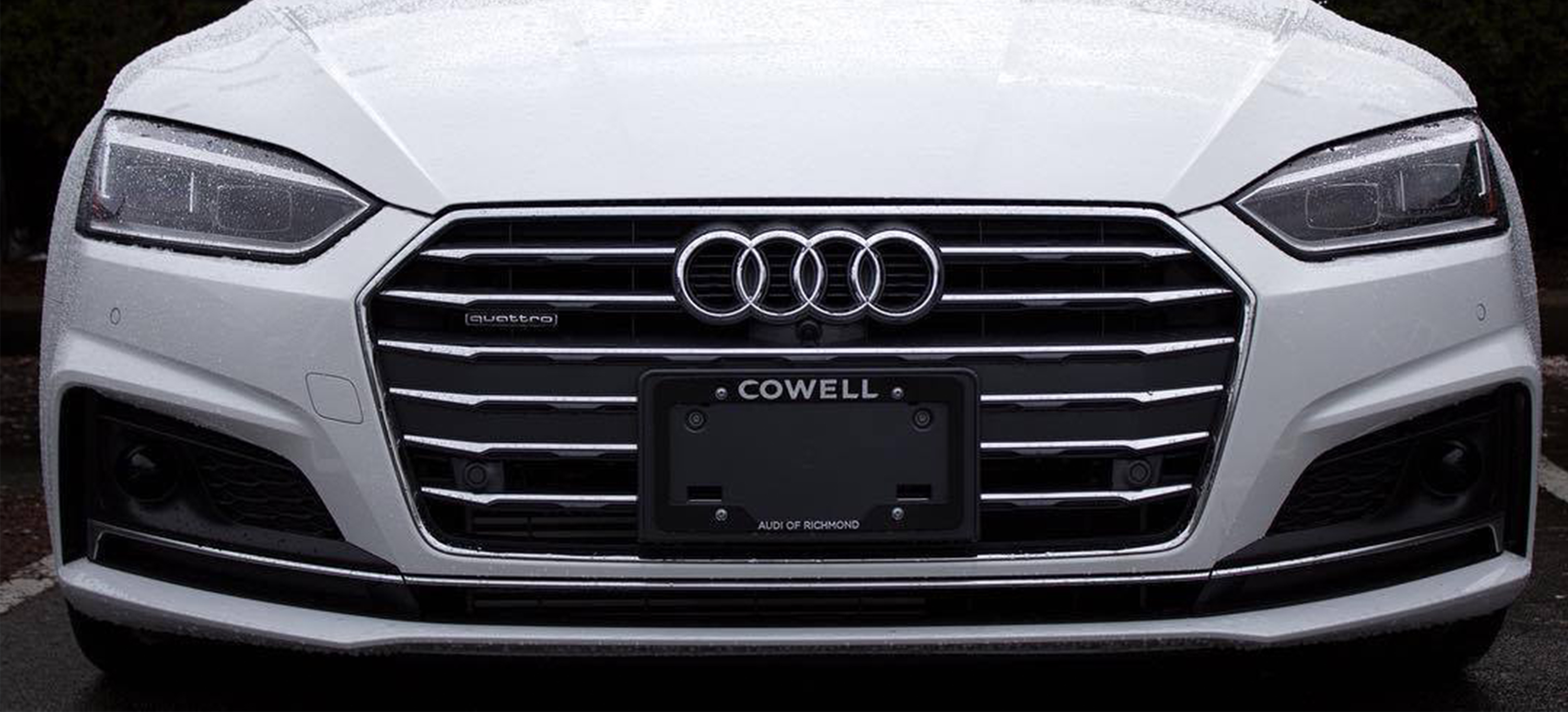 Cowell Licence Plate Grill | Dossier Creative | Auto Dealership Desire to Innovate