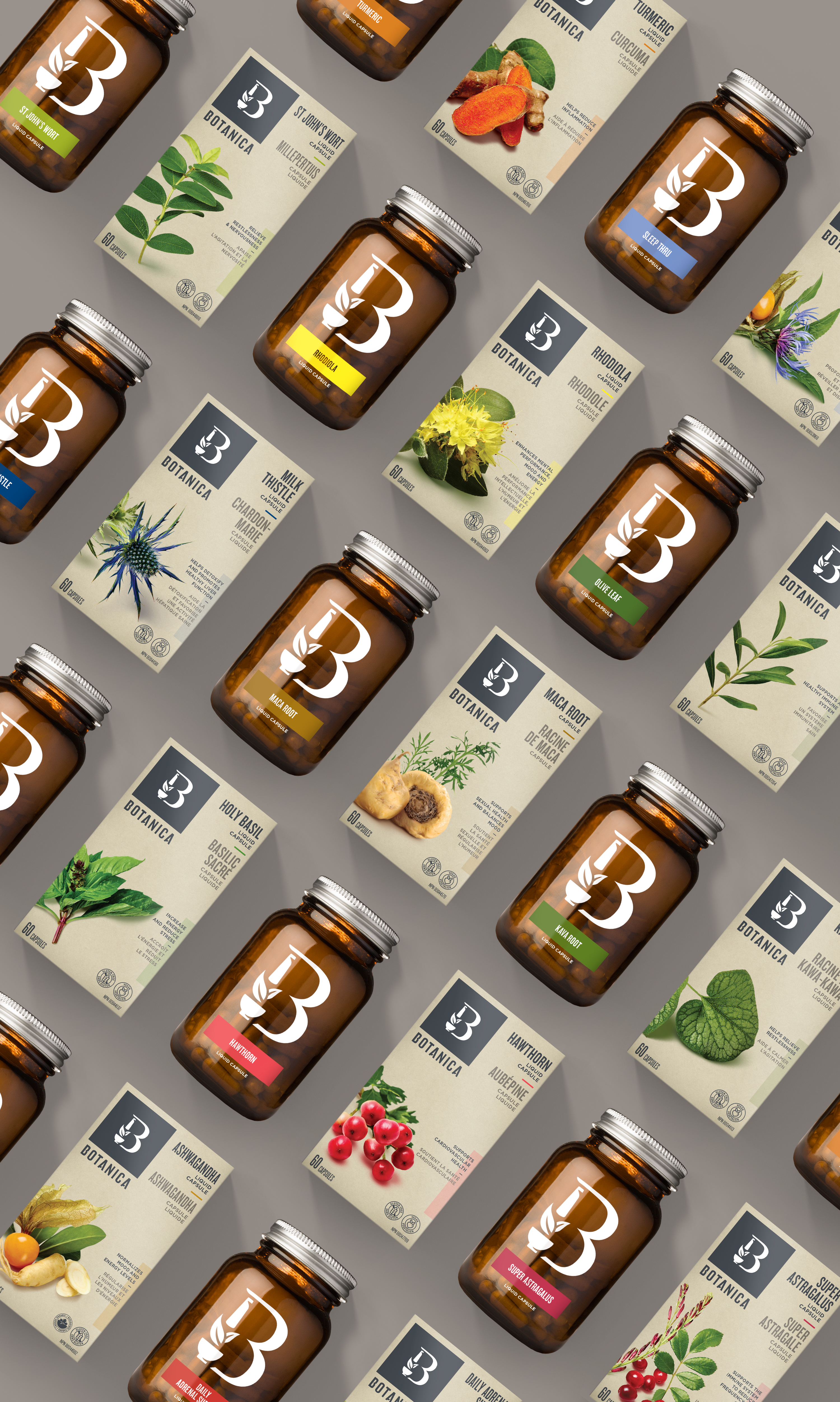 Botanica Packaging | Dossier Creative | Natural Product Identity Design